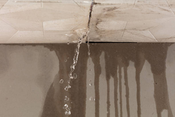 Professional Water Extraction technician working in Malone, TX